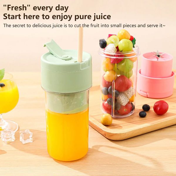 Portable Mini Juicer Blender with Straw Cup (500ml)
